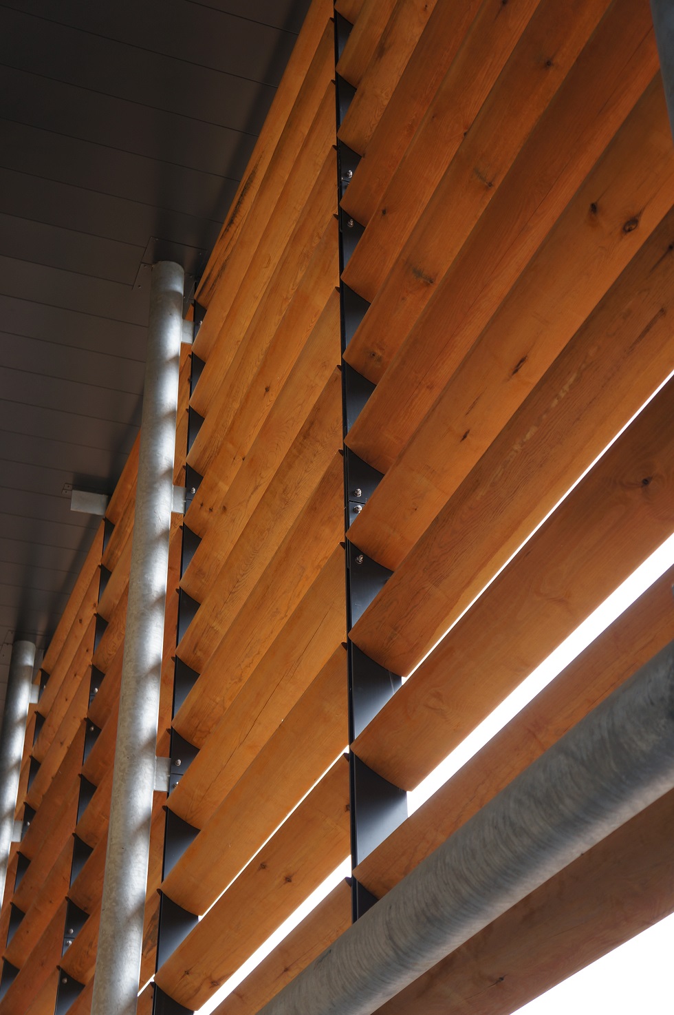 Marling School