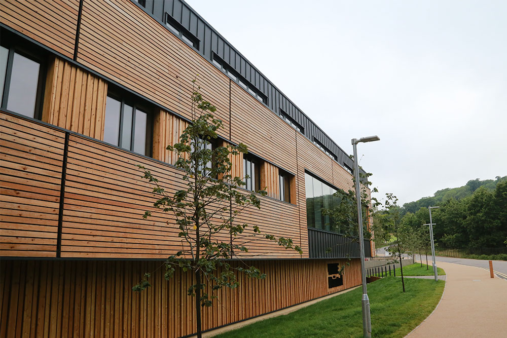Siberian Larch New 1 Siberian Larch New 1