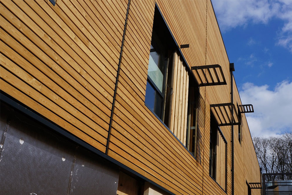 Siberian Larch New 3 Siberian Larch New 3
