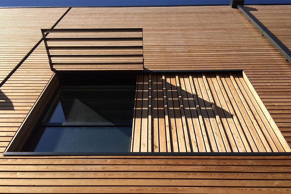 Siberian Larch New 4 Siberian Larch New 4